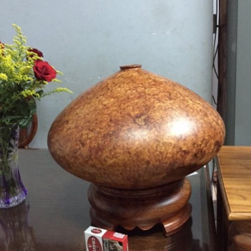 Lộc bình Lâm Sâm LS596